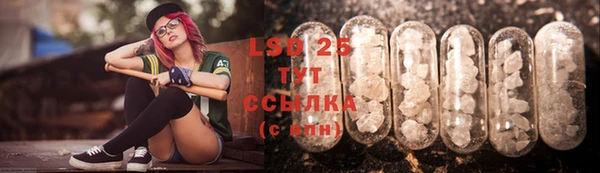 ГАЛЛЮЦИНОГЕННЫЕ ГРИБЫ Балабаново