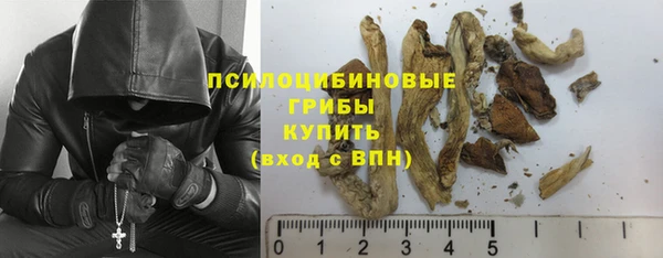 тгк Армянск