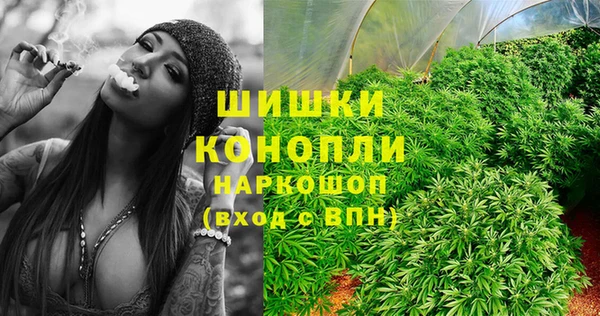 ГАЛЛЮЦИНОГЕННЫЕ ГРИБЫ Балабаново